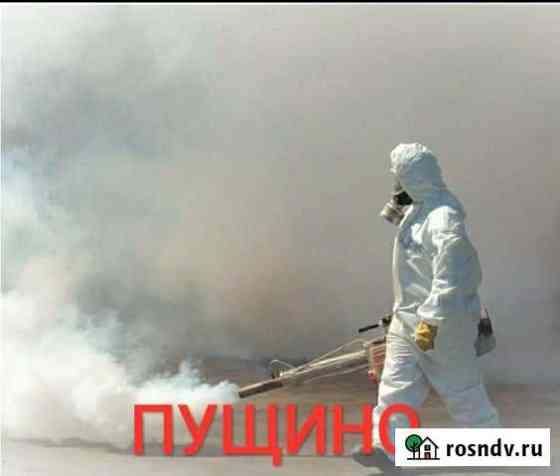 Уничтожение комаров клещей борщевика клопов ос Пущино
