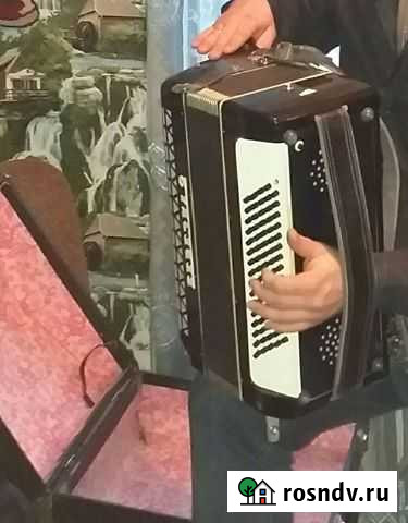 Аккордион средний Берёзка Азнакаево - изображение 1