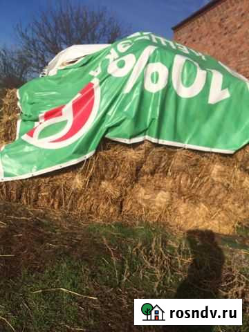 Продам сено в тюках Николаевка - изображение 1