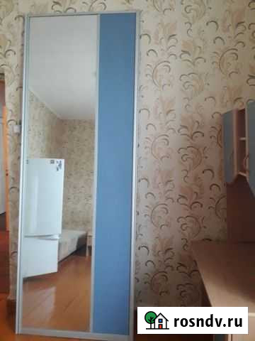 Зеркальная дверца шкафа, зеркальные полотна Комсомольск-на-Амуре - изображение 1