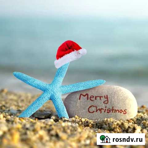 Морская звезда, белая Мурино - изображение 1