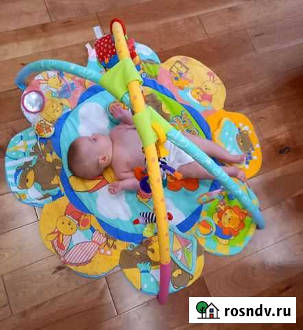 Развивающий коврик Мурино - изображение 1