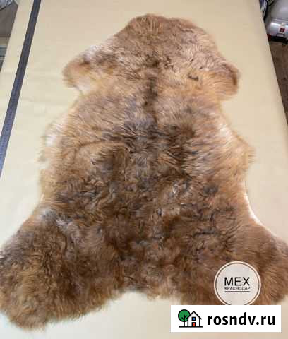 Ковер палас Краснодар - изображение 1