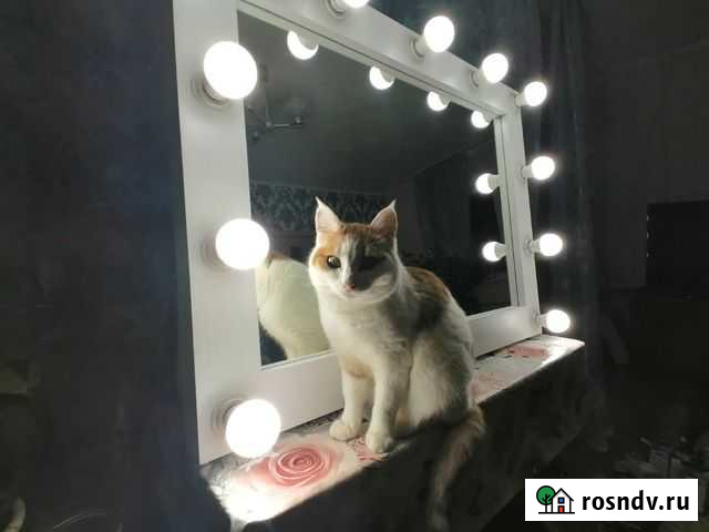 Гримерное зеркало Каменск-Уральский - изображение 1