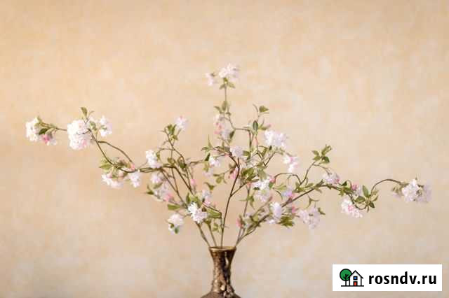 Сакура высота 1,20 м Ростов-на-Дону - изображение 1