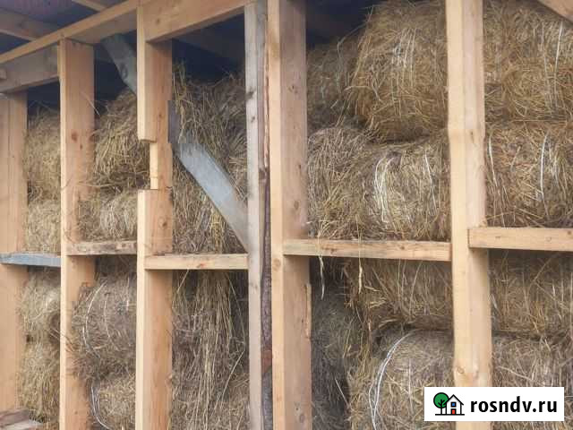 Сено Печерск - изображение 1