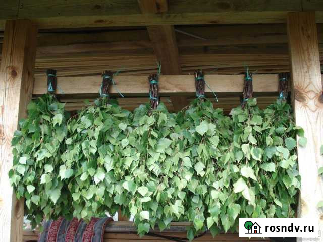 Березовые веники Саранск - изображение 1