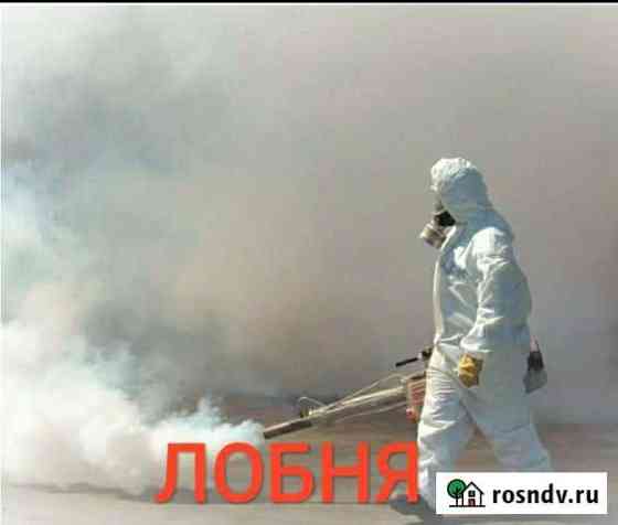Уничтожение клопов, тараканов, клещей, насекомых Лобня