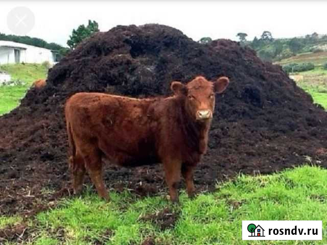 Навоз Людиново - изображение 1