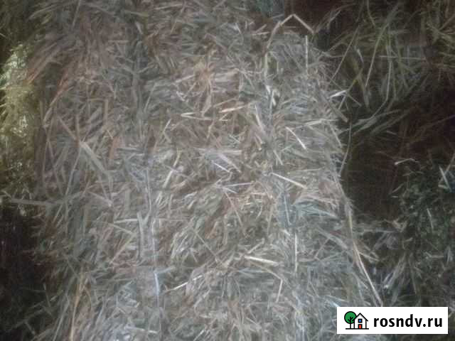 Сено Кропоткин - изображение 1