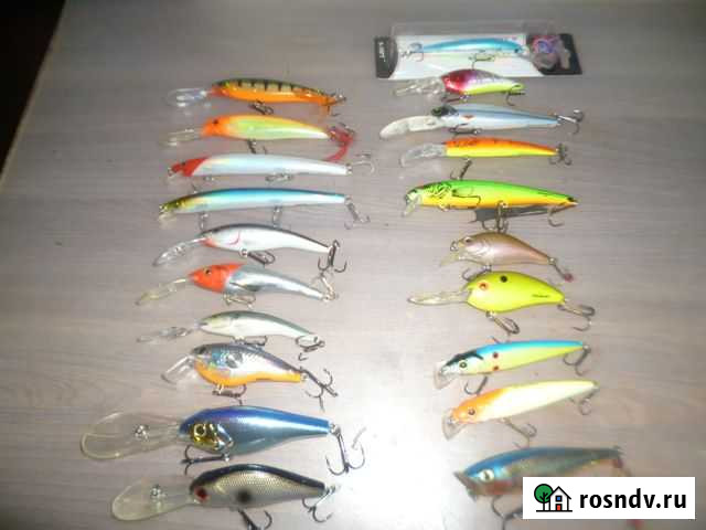 Рыбалка Мурино - изображение 1