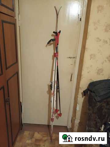 Беговые лыжи Гусь-Хрустальный - изображение 1