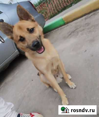 Красивейшие подростки ищут дом Лыткарино - изображение 1