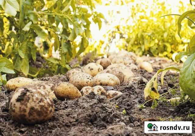 Плодородный грунт отличного качества с доставкой Глебовский - изображение 1