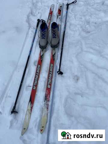 Беговые лыжи Лобаново - изображение 1