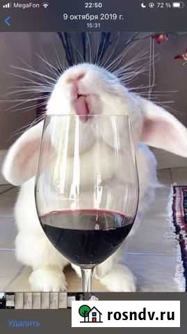 Клетка для шиншиллы Рыльск - изображение 1