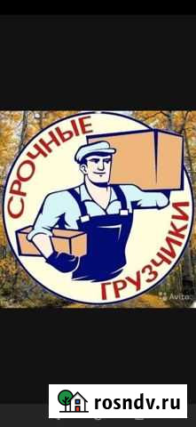 Грузчики Вологда - изображение 1