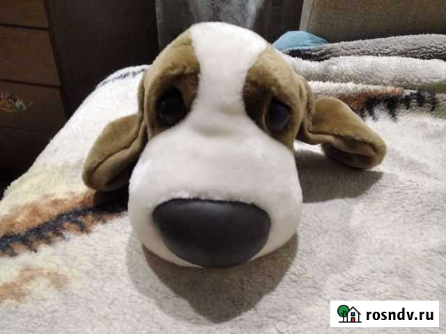 Мягкая собака Калининград - изображение 1