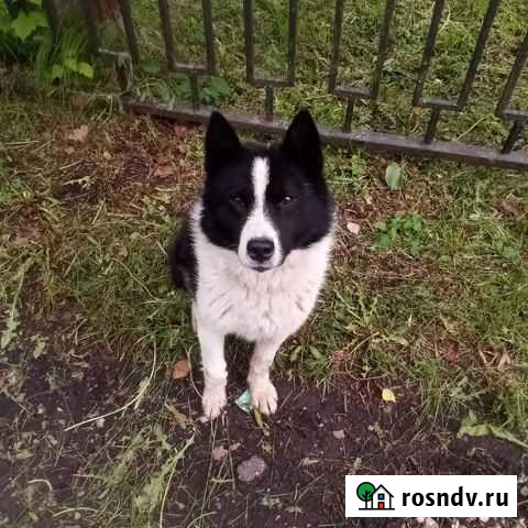 Очень нужен дом Ковров - изображение 1