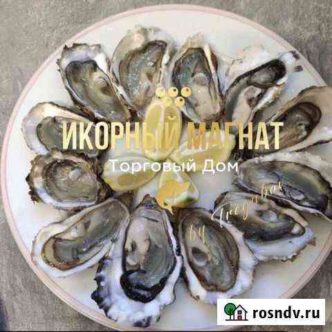 Устрицы живые Павлово