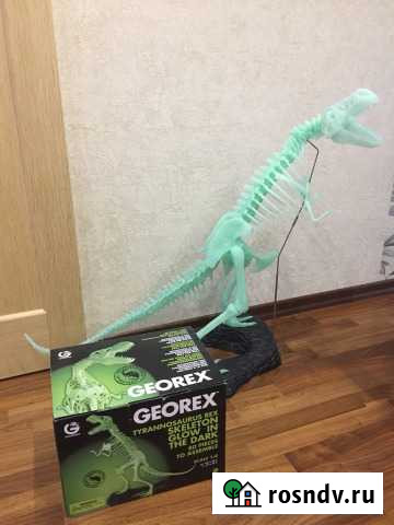 Сборная модель Тиранозавра Псков - изображение 1