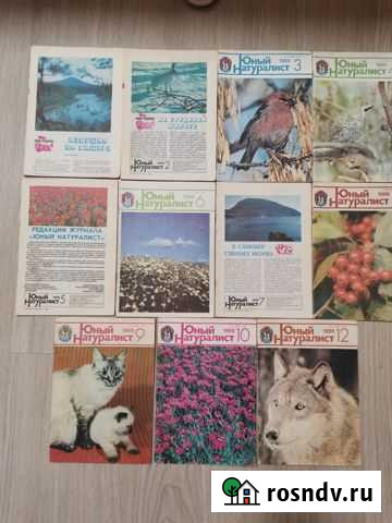 Журналы разные Ногинск - изображение 1