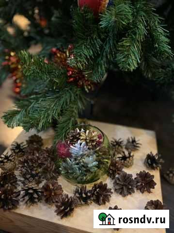 Шишки (забирать у ТЦ Тандем) Казань - изображение 1