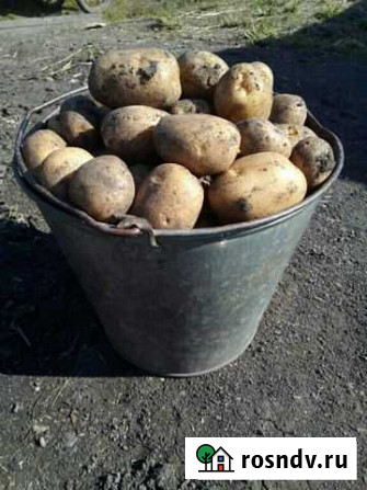 Продам картофель с доставкой Алейск - изображение 1