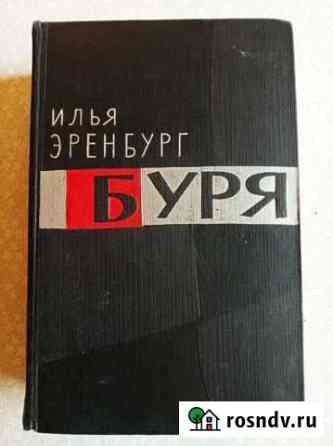 Илья Эренбург, роман Буря Серпухов