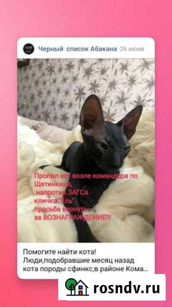 Сфинкс Абакан - изображение 1