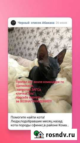 Сфинкс Абакан - изображение 1