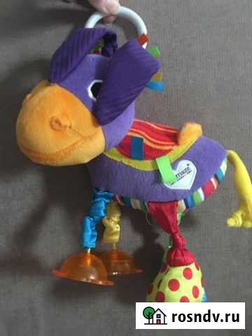 Ослик Владикавказ - изображение 1