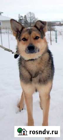 Норочка Кипень - изображение 1