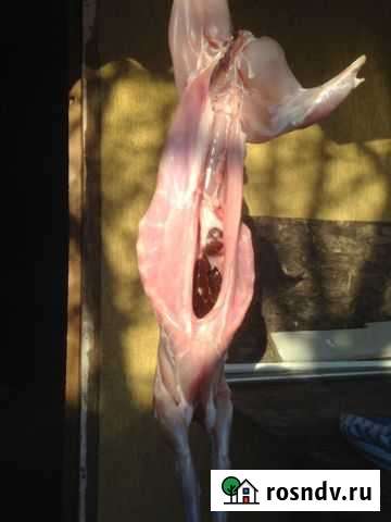 Мясо кролика Светлый - изображение 1