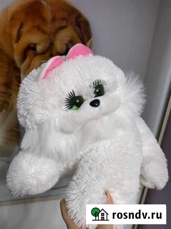 Игрушка мягкая Ижевск - изображение 1