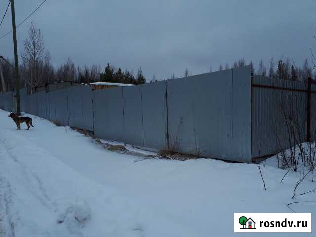 Участок СНТ, ДНП 9 сот. на продажу в Нягани Нягань - изображение 1