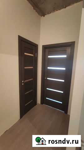 Установка входных и межкомнатных дверей Коломна - изображение 1