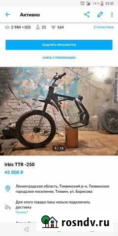 Irbis TTR -250 Тихвин - изображение 1