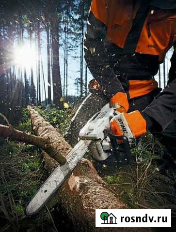 Спил, обрезка, кронирование деревьев Саратов - изображение 1
