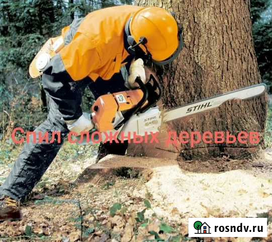 Спил сложных деревьев, покос травы Кировск - изображение 1