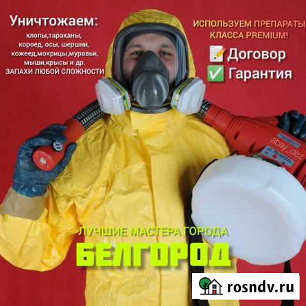 Уничтожение тараканов, клопов, блох, грызунов Белгород - изображение 1