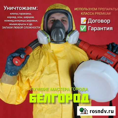 Уничтожение тараканов, клопов, блох, грызунов Белгород - изображение 1