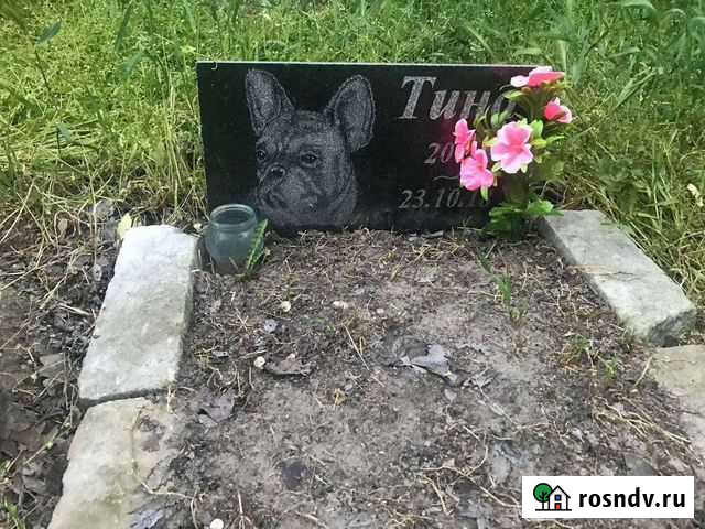 Ретуальные услуги для домашних животных Верхняя Максаковка - изображение 1