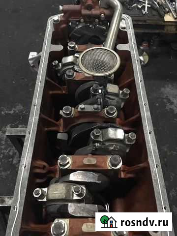 3 компл. Двигатель Д260 ммз Каменка - изображение 1