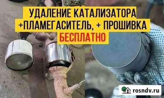 Бесплатное удаление катализатора Льгов