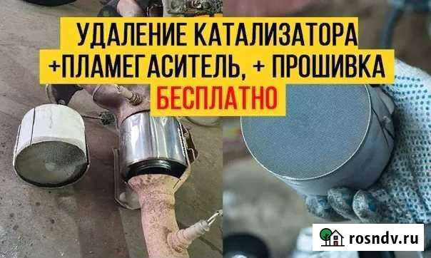 Бесплатное удаление катализатора Льгов - изображение 1
