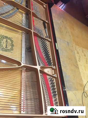 Настройка музыкальных инструментов Краснодар - изображение 1