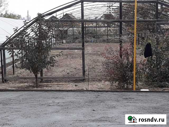 Шатер (теплица) под посадку Астрахань - изображение 1