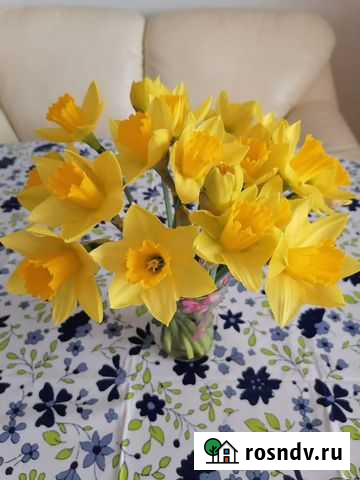 Швейная машина Подольск Петрозаводск - изображение 1