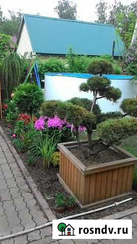 Ландшафтный дизайн-проект.Подбор,посадка Ульяновск - изображение 1